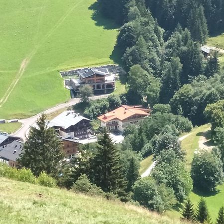 Haus Dienten Top 11 Dienten am Hochkönig Eksteriør bilde